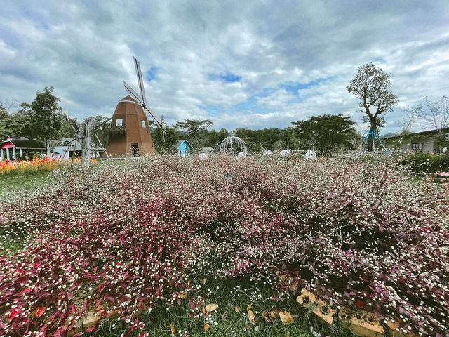 "Viva Foresta Farm" ฟาร์มสัตว์แปลกแห่งจันทบุรี 🐧