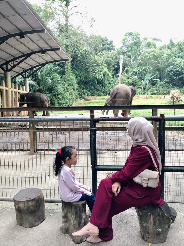 ; ZOO MELAKA. 🐘🦒🐎