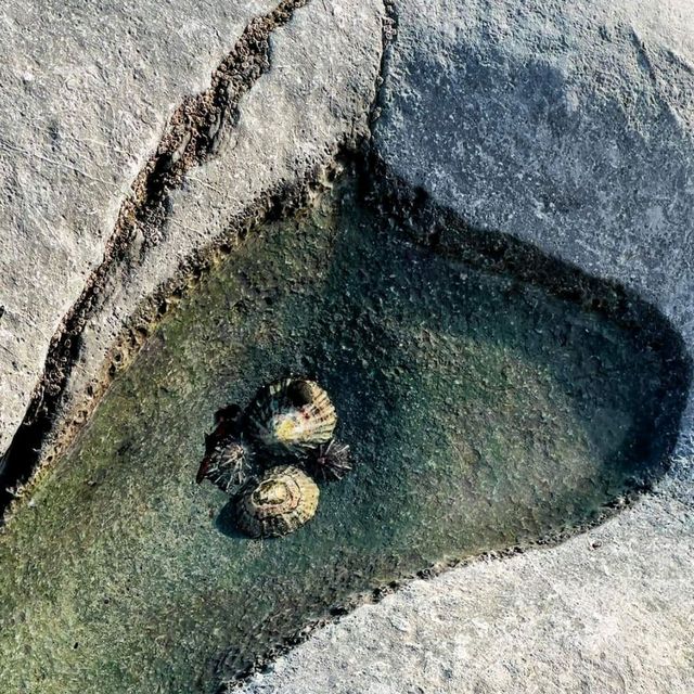 凡人去考古～英國南部Jurassic Coast