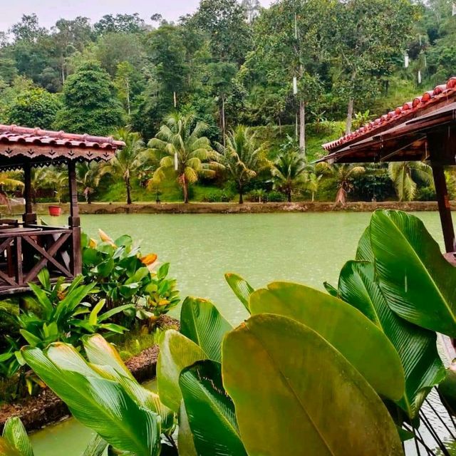 Restoran Terra Pong, Hulu Langat 