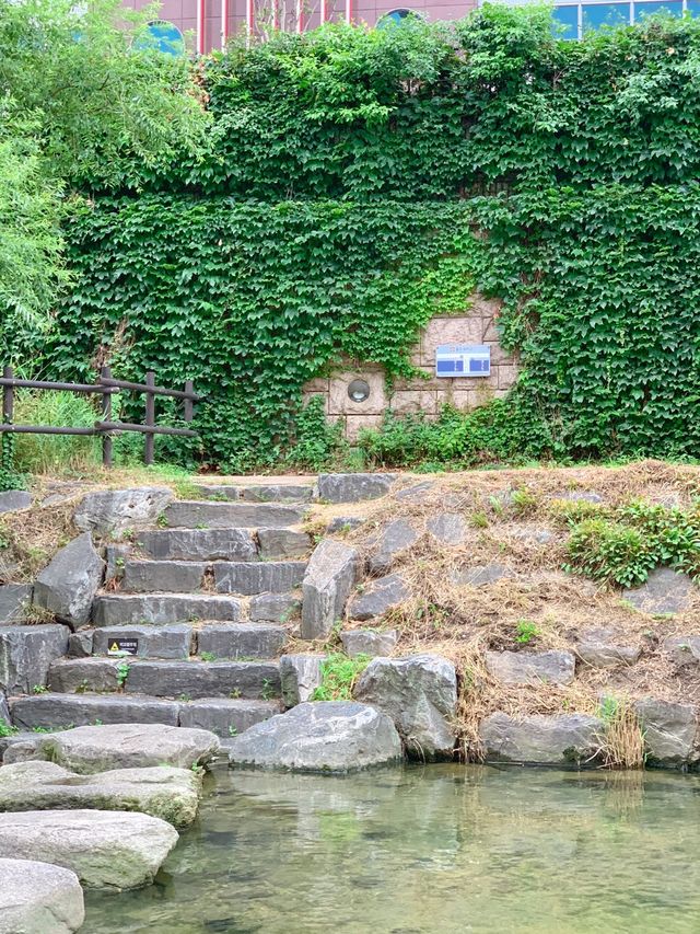 서울 산책하기 좋은 ‘청계천’