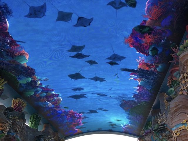 珠海長隆海洋王國