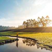 CILEUNCA LAKE - BANDUNG