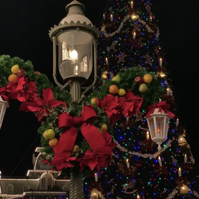 디즈니월드 매직킹덤 크리스마스 파티 🎅🏻🎄