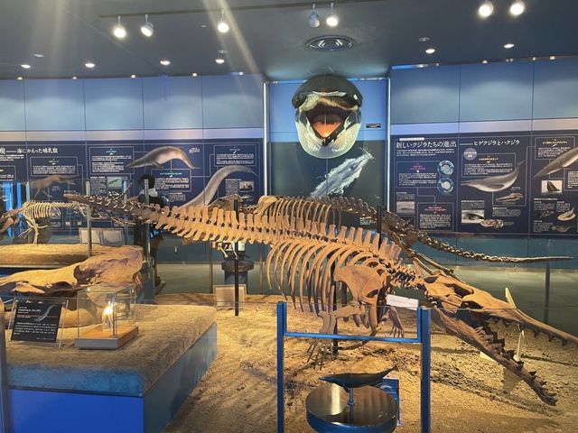 名古屋の水族館といえばココ🐠！【名古屋港水族館】