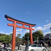 【神奈川】鎌倉の有名神宮⛩鶴岡八幡宮