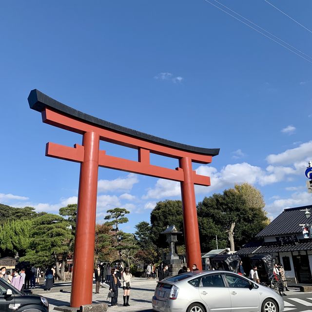 【神奈川】鎌倉の有名神宮⛩鶴岡八幡宮