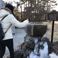 富士山🗻河口湖💕情侶💑拍拖之選