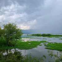 The wonders of Yunnan- Lashihai Wetland Park