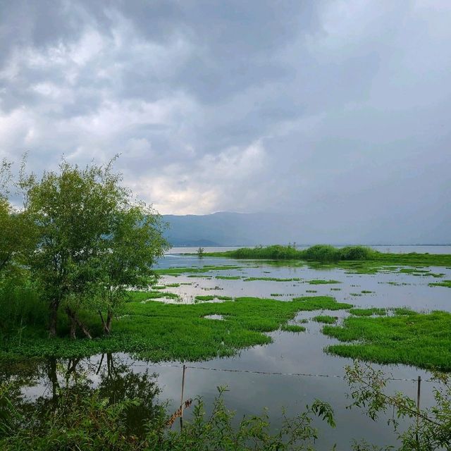 The wonders of Yunnan- Lashihai Wetland Park