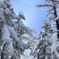 冬の山登りにおすすめ