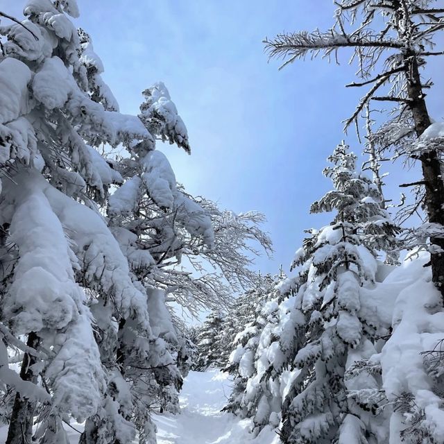 冬の山登りにおすすめ