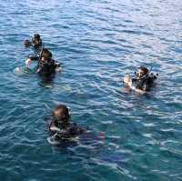 Scuba diving at Koh Tao