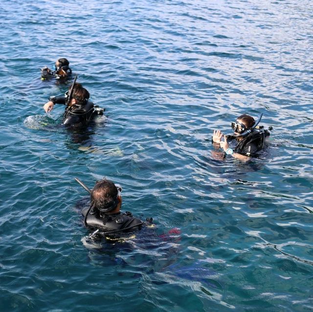 Scuba diving at Koh Tao