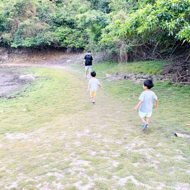港版嵐山竹林之道