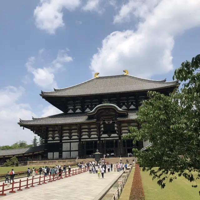 【東大寺】あれから何年経ちましたか？