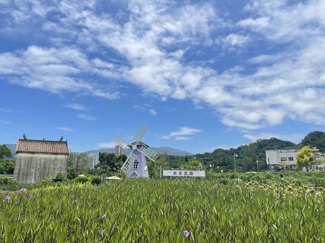 📍蝶豆花有機農莊