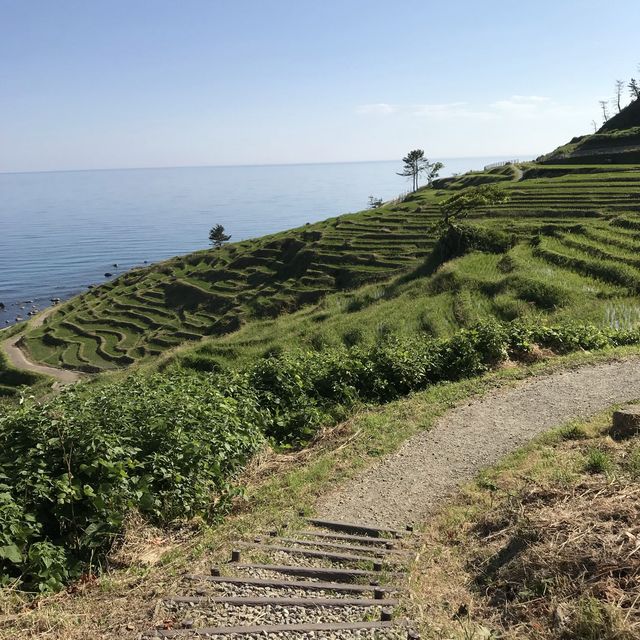 《日本-輪島市》堅持要去看的「梯田之美」