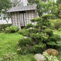 賞花看海好去處👍