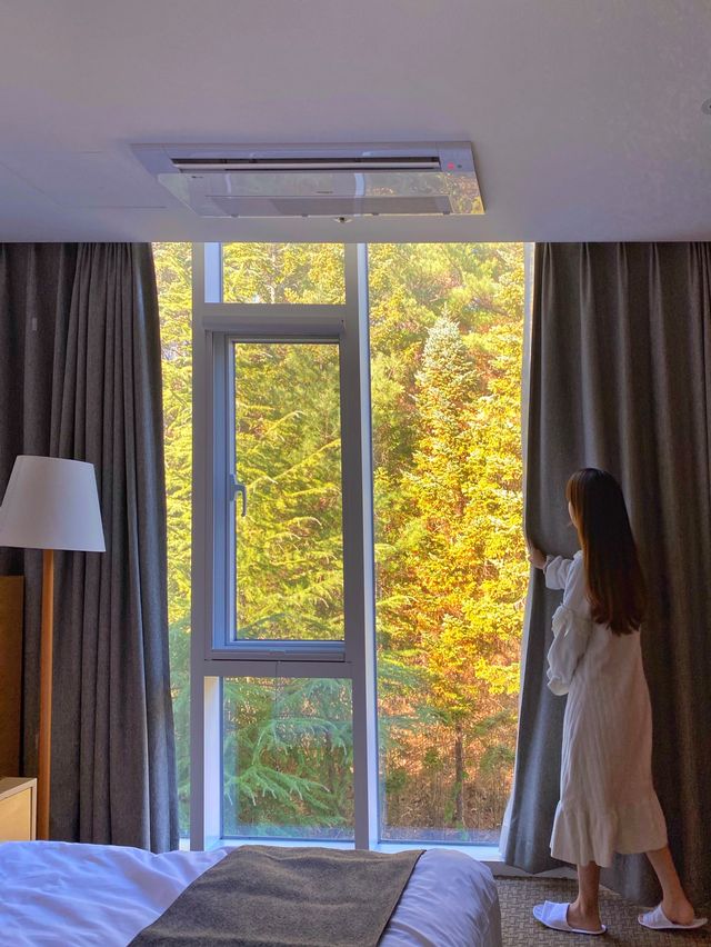 푸릇푸릇한 마운틴 뷰로 유명한 ‘낙산비치호텔’ 🌳