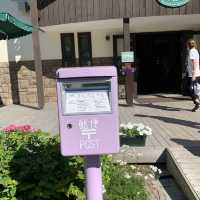 北海道観光ハイライト　ファーム富田はラベンダーシーズン💕