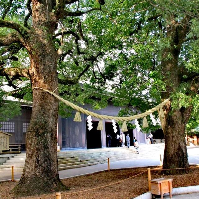 Meiji Shrine @Shibuya Tokyo