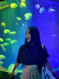 🐬Aquarium Phuket อควาเรียม ที่ใหญ่ที่สุดในภูเก็ต