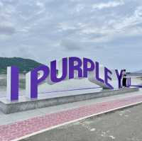 전남 신안의 퍼플섬 !! 보라보라마을 💜💜💜