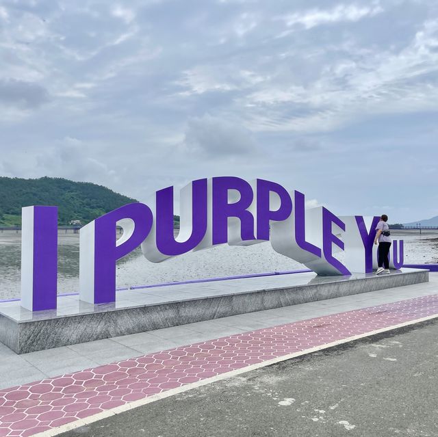 전남 신안의 퍼플섬 !! 보라보라마을 💜💜💜