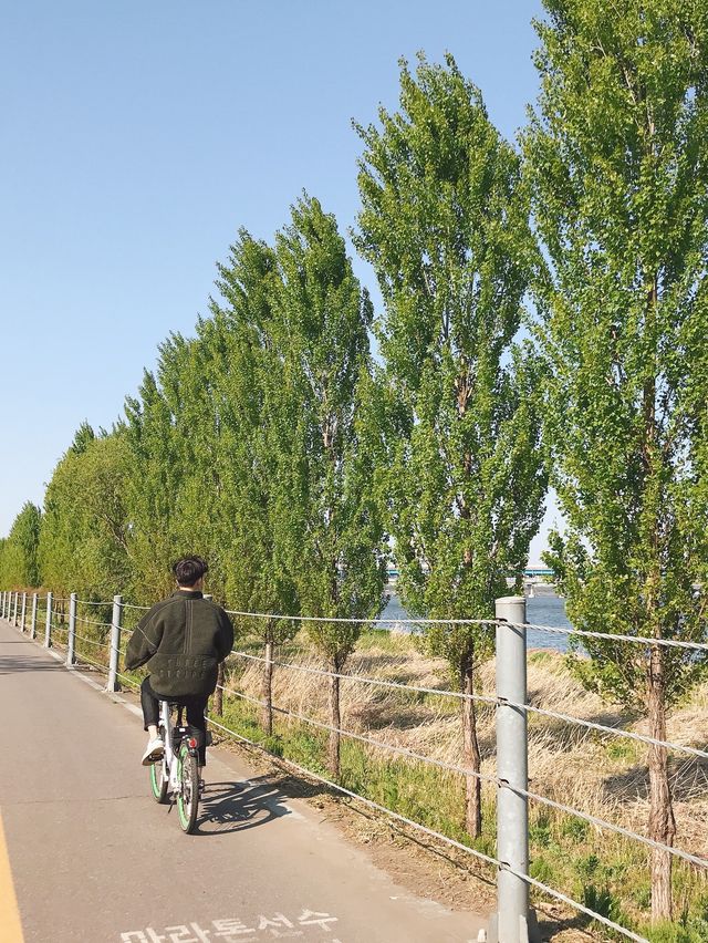 따릉이 타고 한강 라이딩 어때요🚲