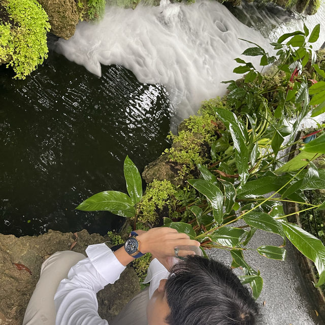 หลงป่าคาเฟ่ อุดรธานี📌