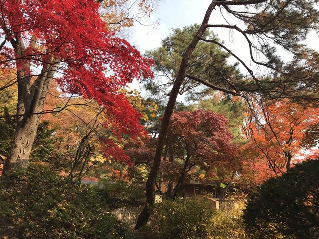 シャッターを押せば全てが美しく写る吉祥寺