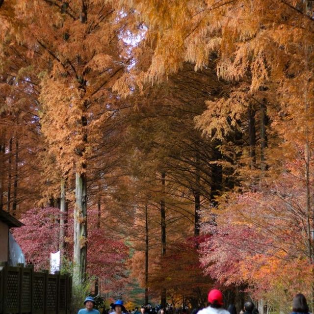 Daejeon Bridge