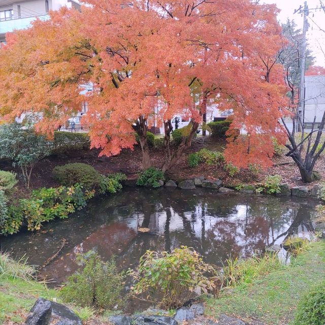 岩手県！盛岡城跡公園の紅葉