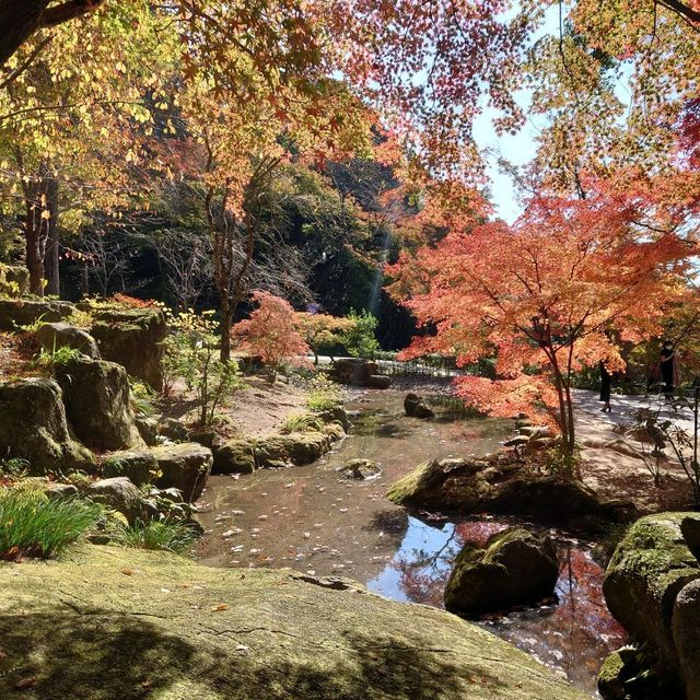 竈門神社