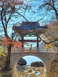 이국적 분위기의 수홍루가 아름다운 구례 천은사🏯