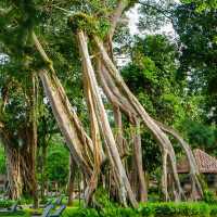 รีสอร์ทเขาหลักที่กลมกลืนกับธรรมชาติ