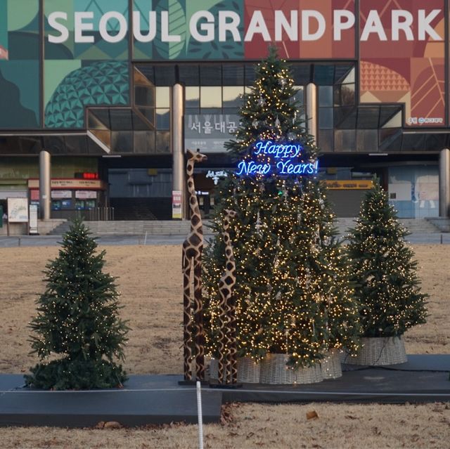 동물원 느낌 크리스마스 트리