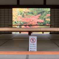 京都紅葉2022 天龍寺の紅葉