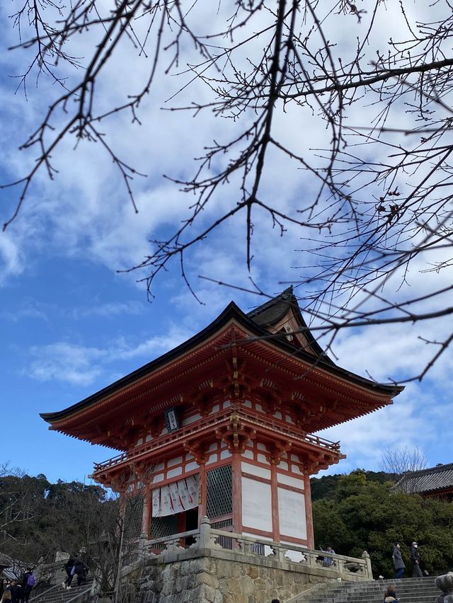 【旅行】✨久遺嘅日本之旅終於出發喇！✨