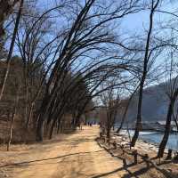 Romantic New Year at Nami Island