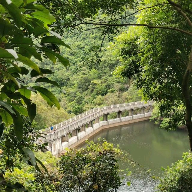 鶴藪水塘