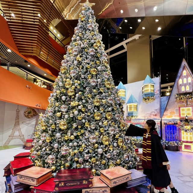 🎄Harry Potter的聖誕魔法世界✨