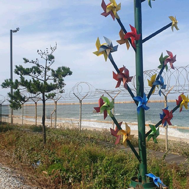 한적하고 고즈넉한 분위기 맛집 <정동진>