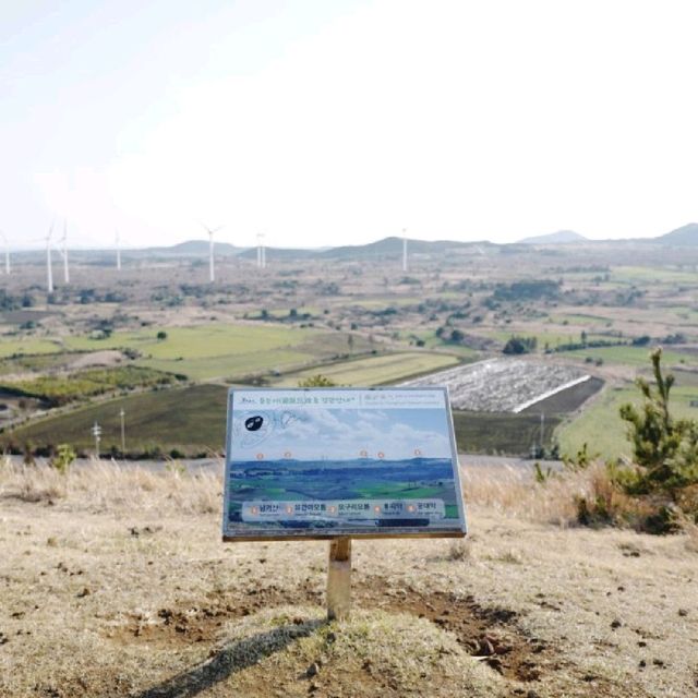말똥많은, 하지만 확트인 전망이 좋은 제주 용눈이오름