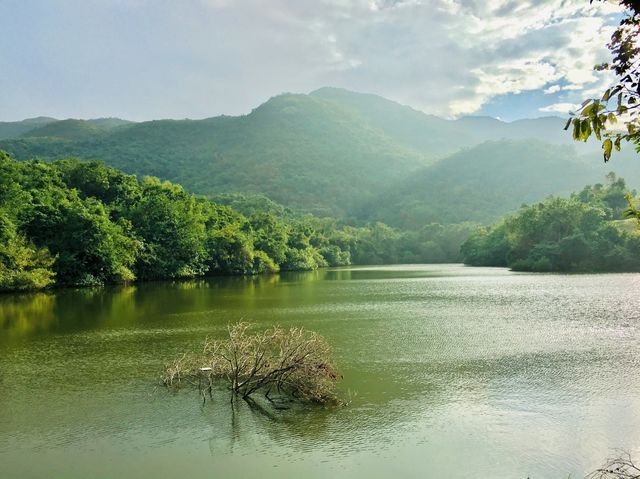 環湖出咀摸鬼手