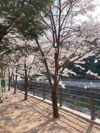 북한산과 정릉천이 이쁜 산책길 ‘정릉산책길’