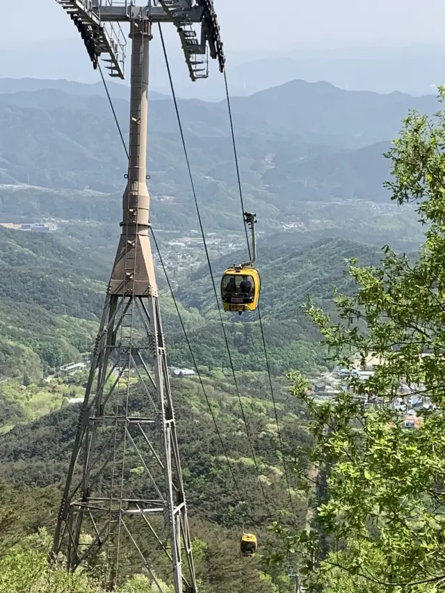 팔공산 케이블카 타고 플라잉소바까지