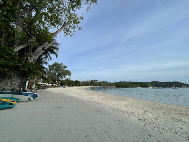 มองหาทะเลที่สงบบนเกาะสมุยที่ Meliá Koh Samui