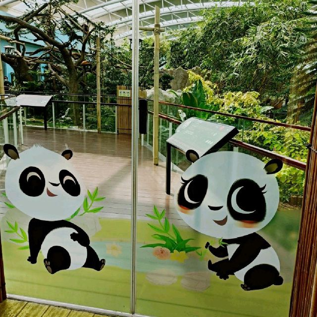 Giant Panda Forest 🐼